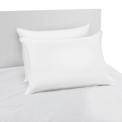 Live Comfortably 240 Thread Count 100% Peachy Certified Asthma & Allergy Friendly® Pillow - 2 Pack
